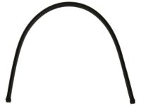 GM 22927721 Inner Weatherstrip, Front