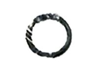 GM 12581530 Outlet Pipe Seal