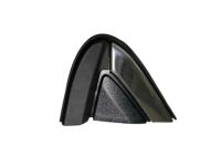 GM 84107336 Trim Molding, Black, Upper Driver Side