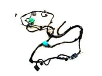 GM 84289500 Harness, Front