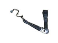 GM 19354209 Tensioner, Jet Black, Driver Side