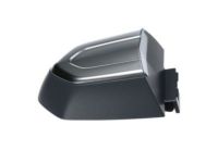 GM 13599547 Chrome Cover, Rear