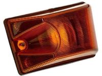 GM 15060524 Roof Marker Lamp, Passenger Side