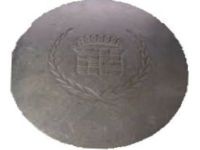 GM 3543662 Center Cap