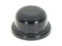 GM 22699534 Wiper Arm Cap