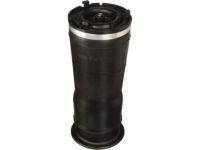 GM 15938306 Air Spring, Rear GM 15938306 Air Spring, Rear