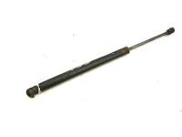 GM 15872898 Lift Cylinder, Driver Side