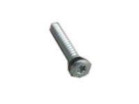 GM 11516173 Screw Assembly Tap Oval Trim Head 6