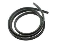 Buick Rainier Weather Strip - 19168171 Surround Weatherstrip, Gray, Driver Side