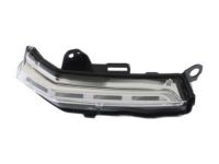 GM 84206439 Signal Lamp, Rear Passenger Side