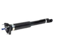 Cadillac CTS Shock Absorber - 19355571 Shock Absorber, Passenger Side