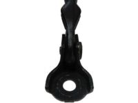 GM 13363546 Door Check, Front