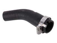 GM 22951233 Lower Hose GM 22951233 Lower Hose