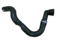 GM 92252961 Lower Hose