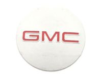 GM 52015040 Hub Cap, Silver