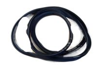 GM 13114514 Weatherstrip, Rear