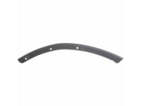 GM 15131292 Outer Filler, Front Driver Side