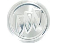 GM 9595011 Center Cap, Silver