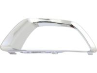 GM 22925739 Molding, Passenger Side GM 22925739 Molding, Passenger Side