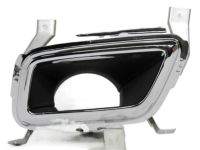 GM 84216417 Heat Shield, Driver Side