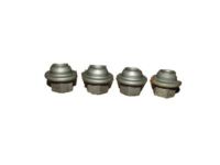 GM 10017687 Wheel Nut, Front Rear