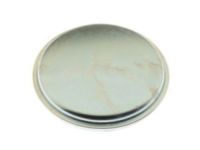 GM 15124265 Dust Cap, Front