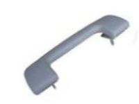 Buick LaCrosse Door Handle - 95025625 Grip Handle, Titanium