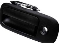 GM 25989398 Handle, Outside, Driver Side