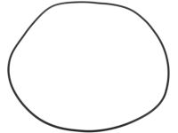 GM 24224577 Seal, Transmission Front Servo