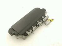GM 23420285 Knee Air Bag, Lower Driver Side