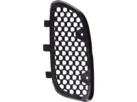 GM 10283640 Grille, Black, Passenger Side
