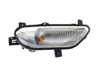 GM 42663534 Signal Lamp Assembly, Front Passenger Side