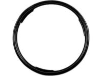 GM 22515965 Fuel Pump Seal