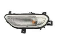 GM 42663533 Signal Lamp Assembly, Front Driver Side GM 42663533 Signal Lamp Assembly, Front Driver Side