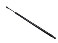 GM 23282828 Lift Cylinder, Passenger Side GM 23282828 Lift Cylinder, Passenger Side