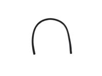 GM 22849249 Rear Weatherstrip