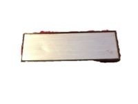 GM 20008916 Pull Strap End Cover