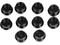 GM 55555985 Thermostat Housing Plug GM 55555985 Thermostat Housing Plug