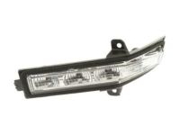 GM 20832959 Turn Signal Lamp, Rear Passenger Side