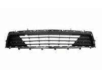 GM 84402021 Lower Grille