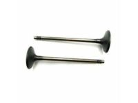 GM 55568831 Intake Valve GM 55568831 Intake Valve