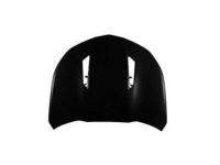GM 84149361 Hood