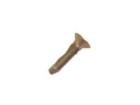 GM 11589019 Striker Bolt
