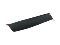 GM 20782950 Lower Molding, Outer Passenger Side