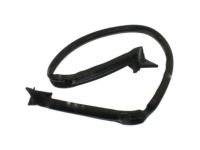 GM 84007386 Weatherstrip, Rear