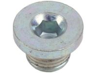 GM 11588949 Water Pump Plug