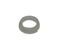 GM 23484882 Level Indicator Grommet