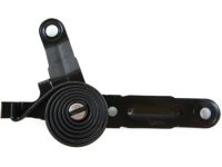 GM 25870070 Assist Spring, Driver Side