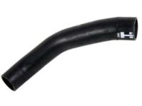 GM 84134893 Coolant Hose, Passenger Side