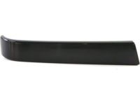 GM 12335958 Molding, Front Passenger Side